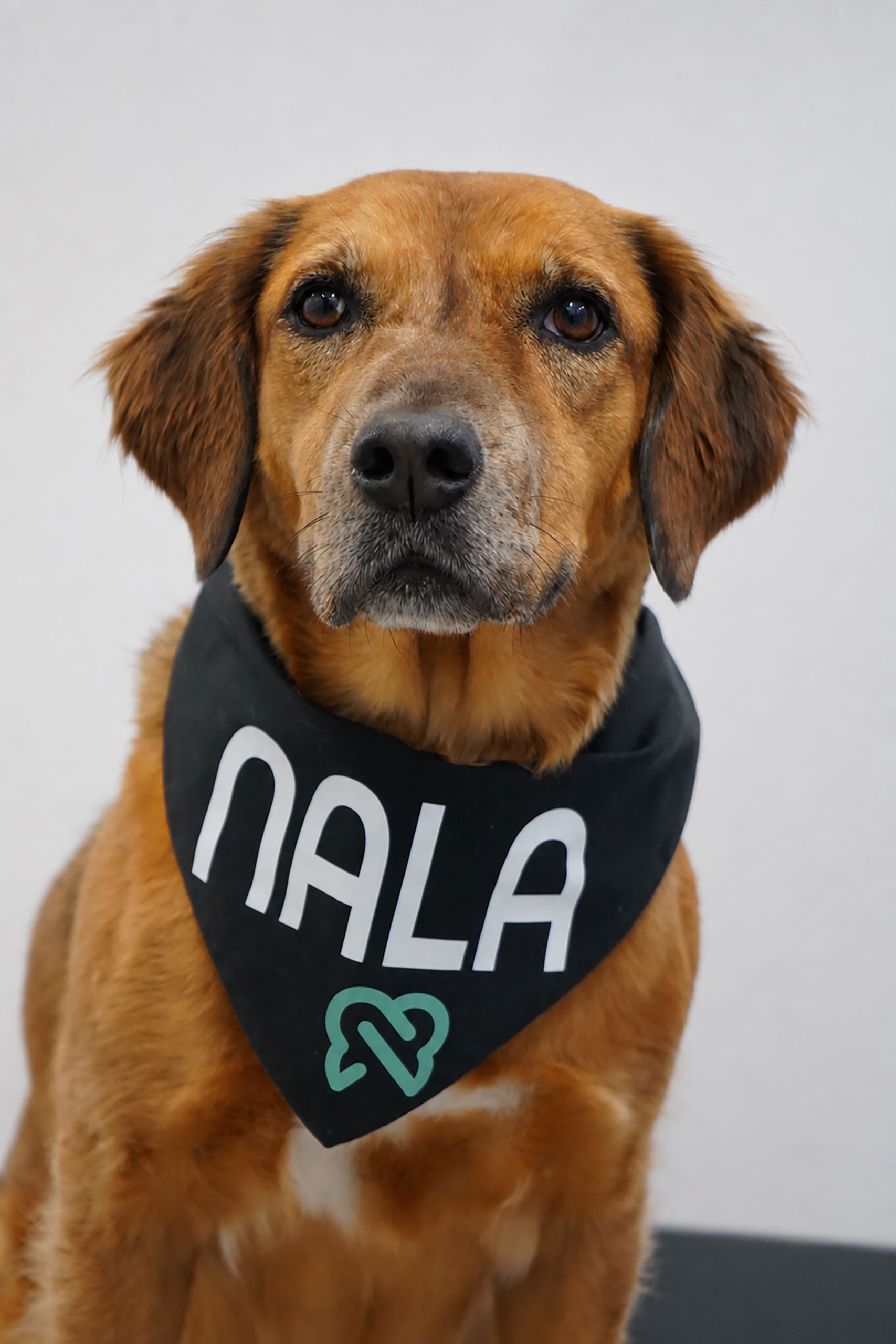 Nala